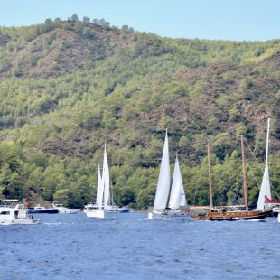 Sailing Regatta HPYF Gocek